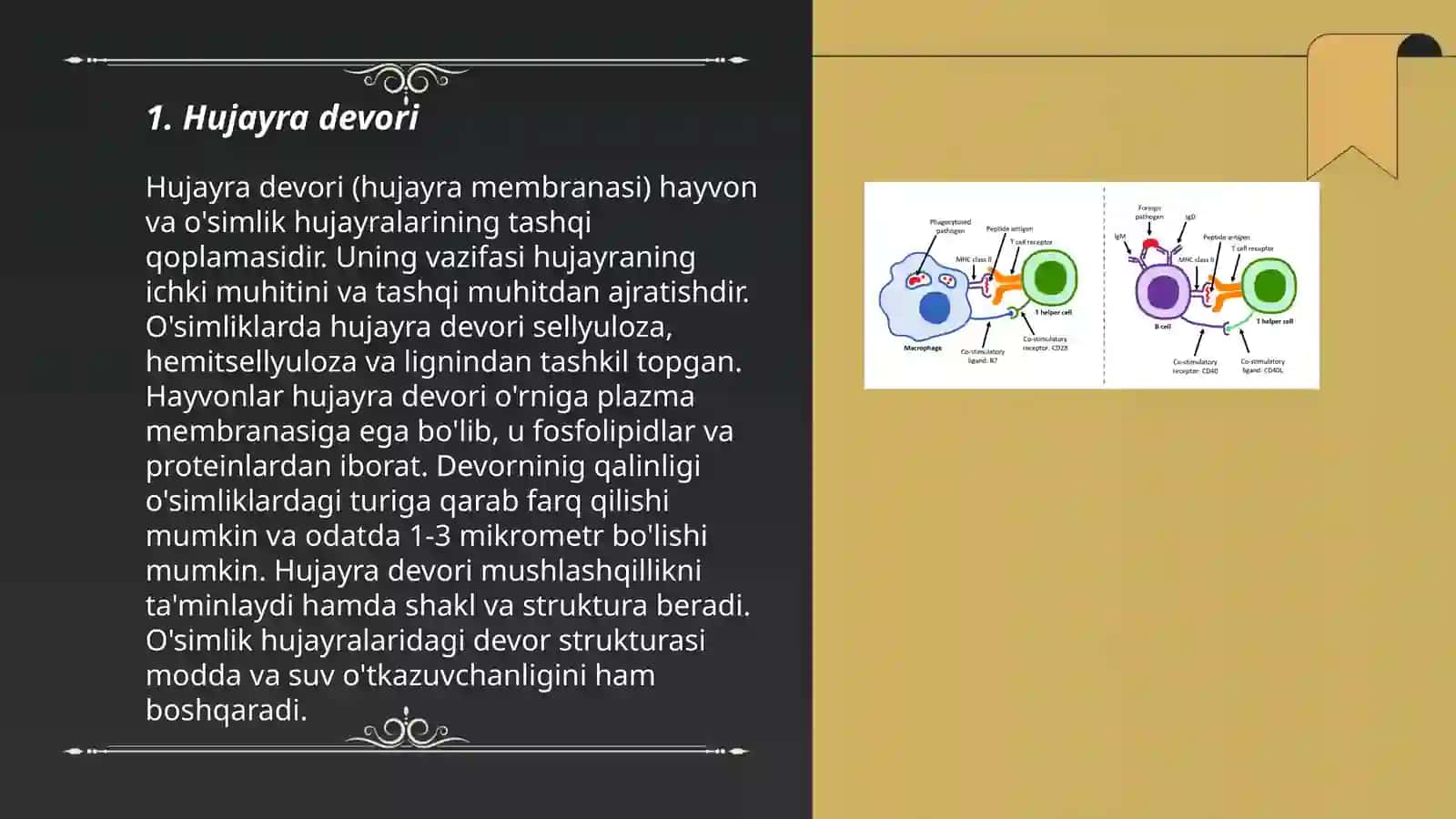 Oʻsimlik hujayrasining tuzilishi 3