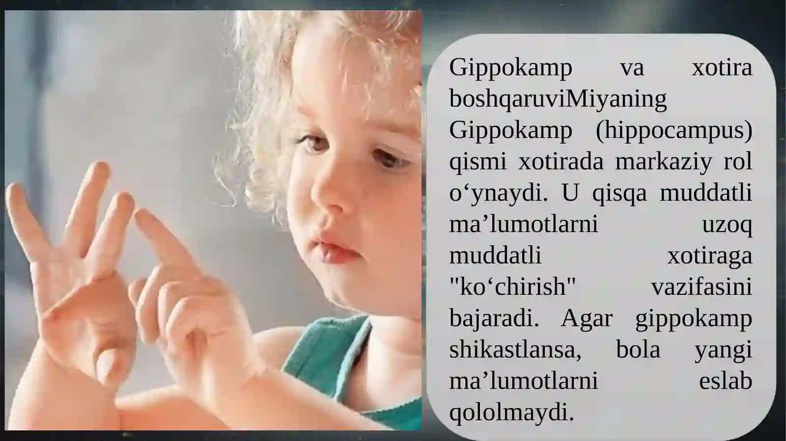 XOTIRA TO’G’RISIDA TUSHUNCHA VA UNING FIZIOLOGIK ASOSLARI 3