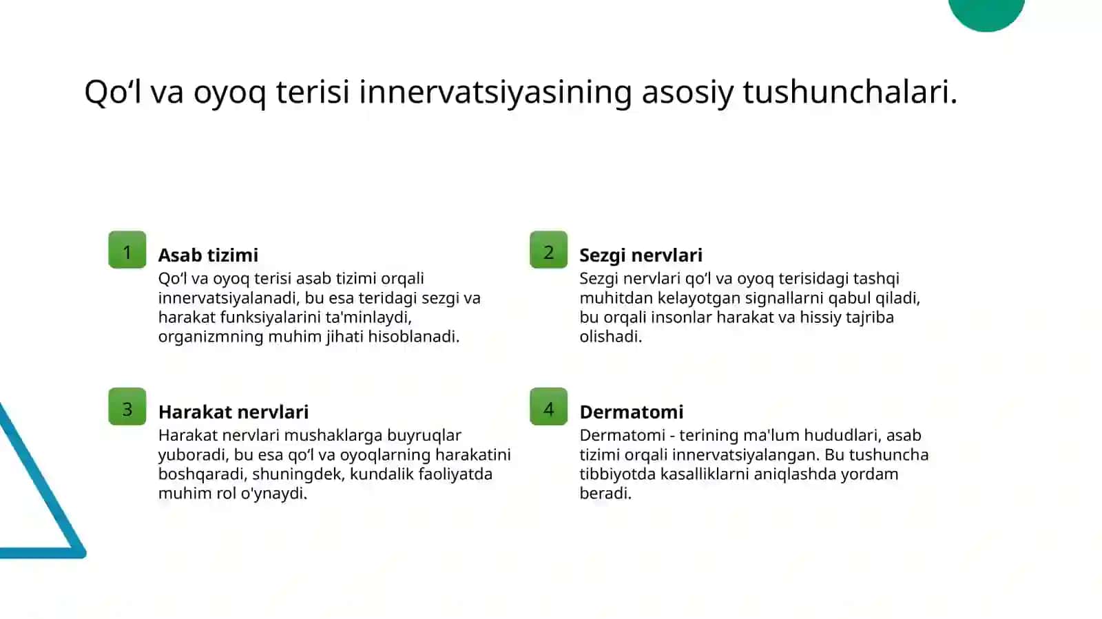 Qoʻl va oyoq terisini innervatsiyasi 3