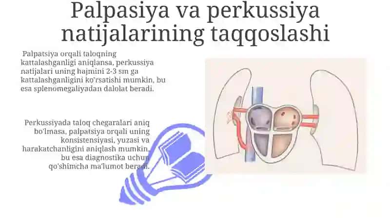 Taloq palpatsiyasi va perkussiyasi 3
