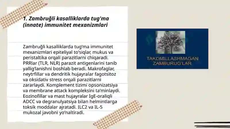 Zambruğli kasalliklarda tug'ma (innate) immunitet mexanizmlari 3