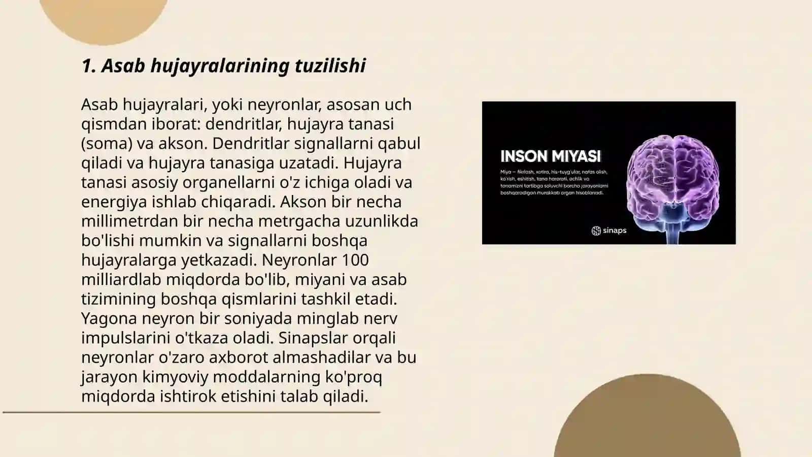 Asab tolalari va sinapslar fiziologiyasi 3
