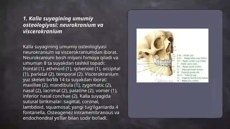 Kalla suyagi tuzilishi va fiziologiyasi 3