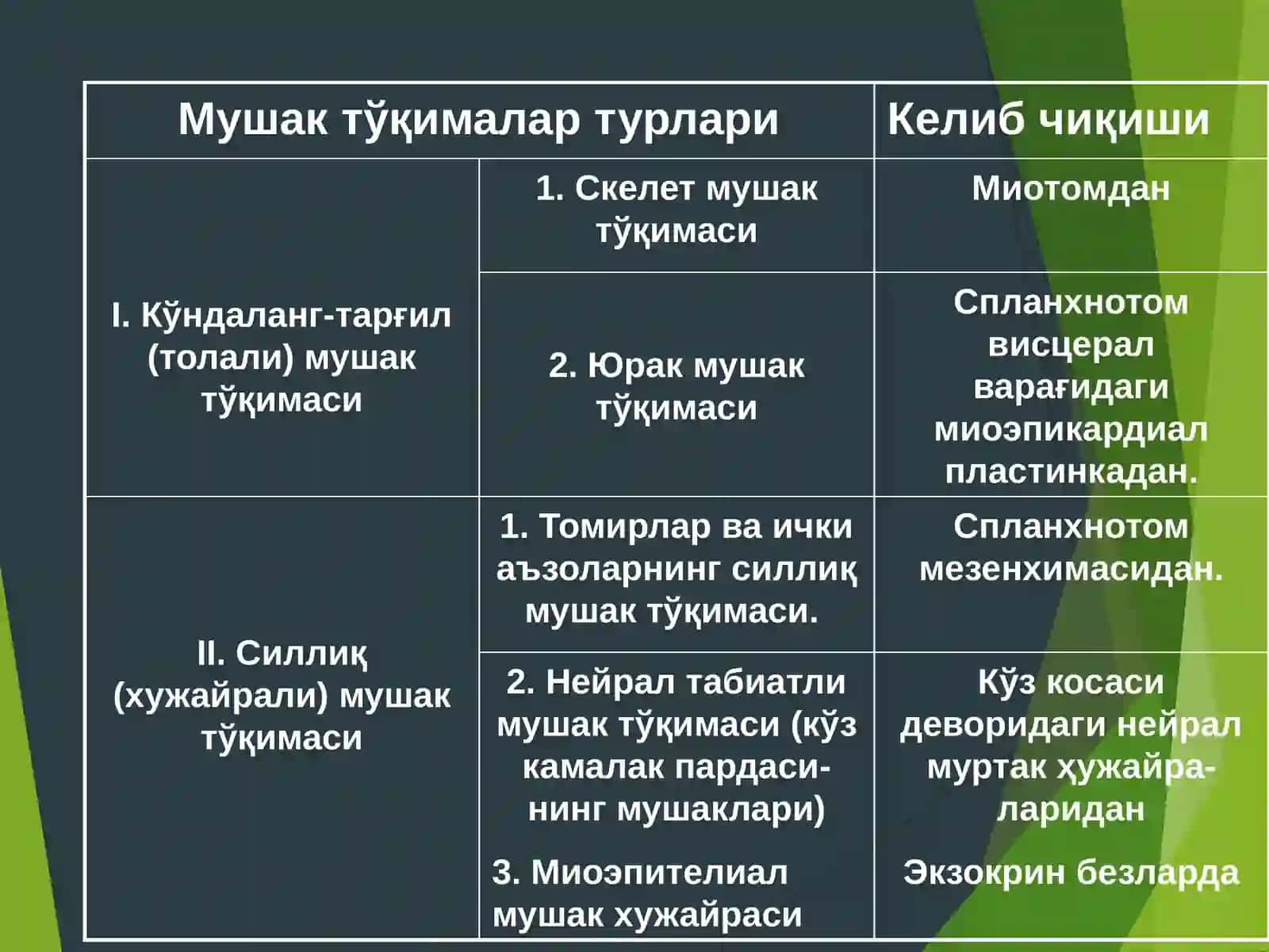 Мушак тўқимаси 3