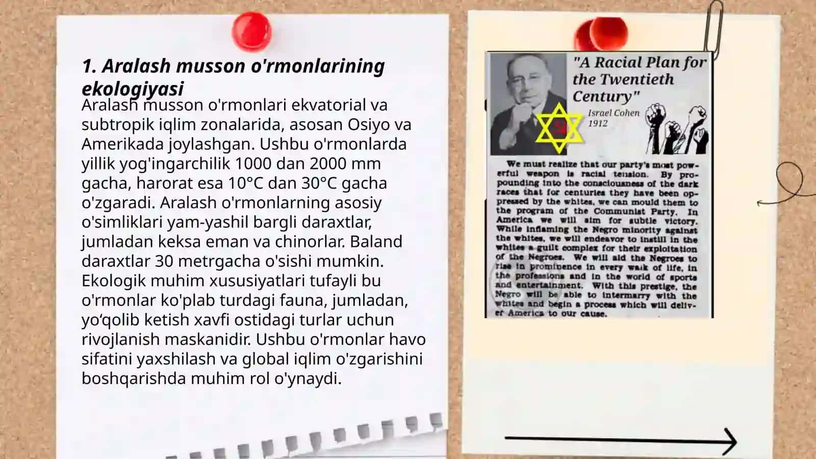 Aralash musson o'rmonlar zonasini o'rganish metodikasi 3