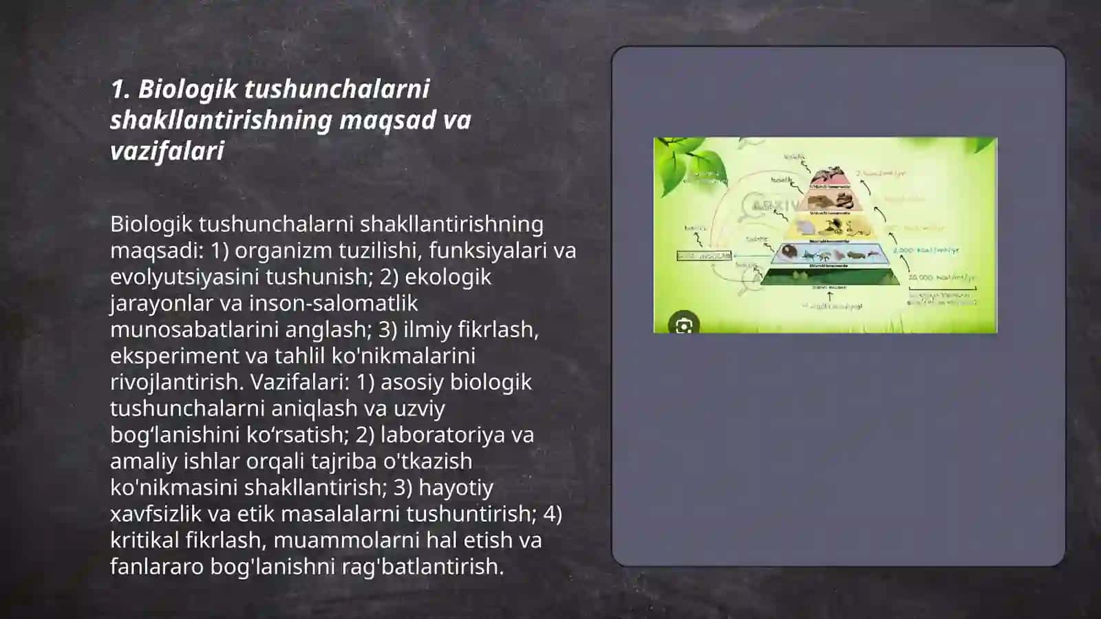 Biologik tushunchalarni shakillantirish 3