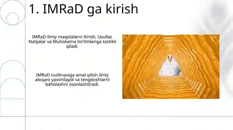 Imrad structure 3