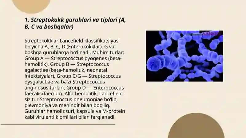 Streptakokk infeksiyasi 3
