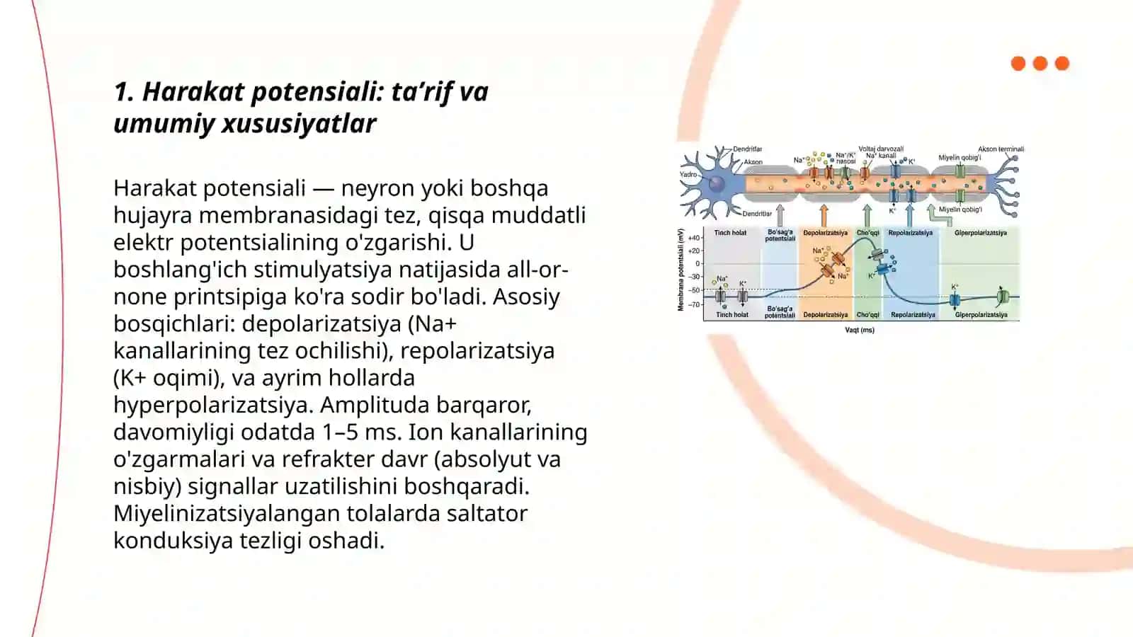Harakat potensiali 3
