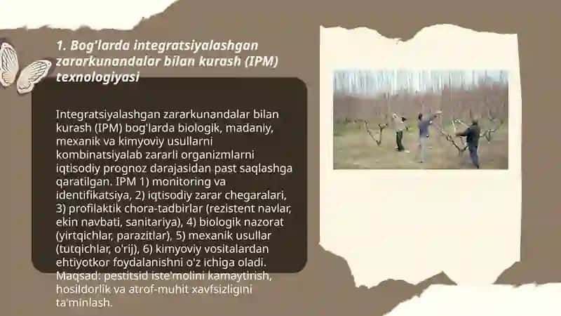 Bog'larda zararkunandalarga qarshi kurash texnologiyasi 3