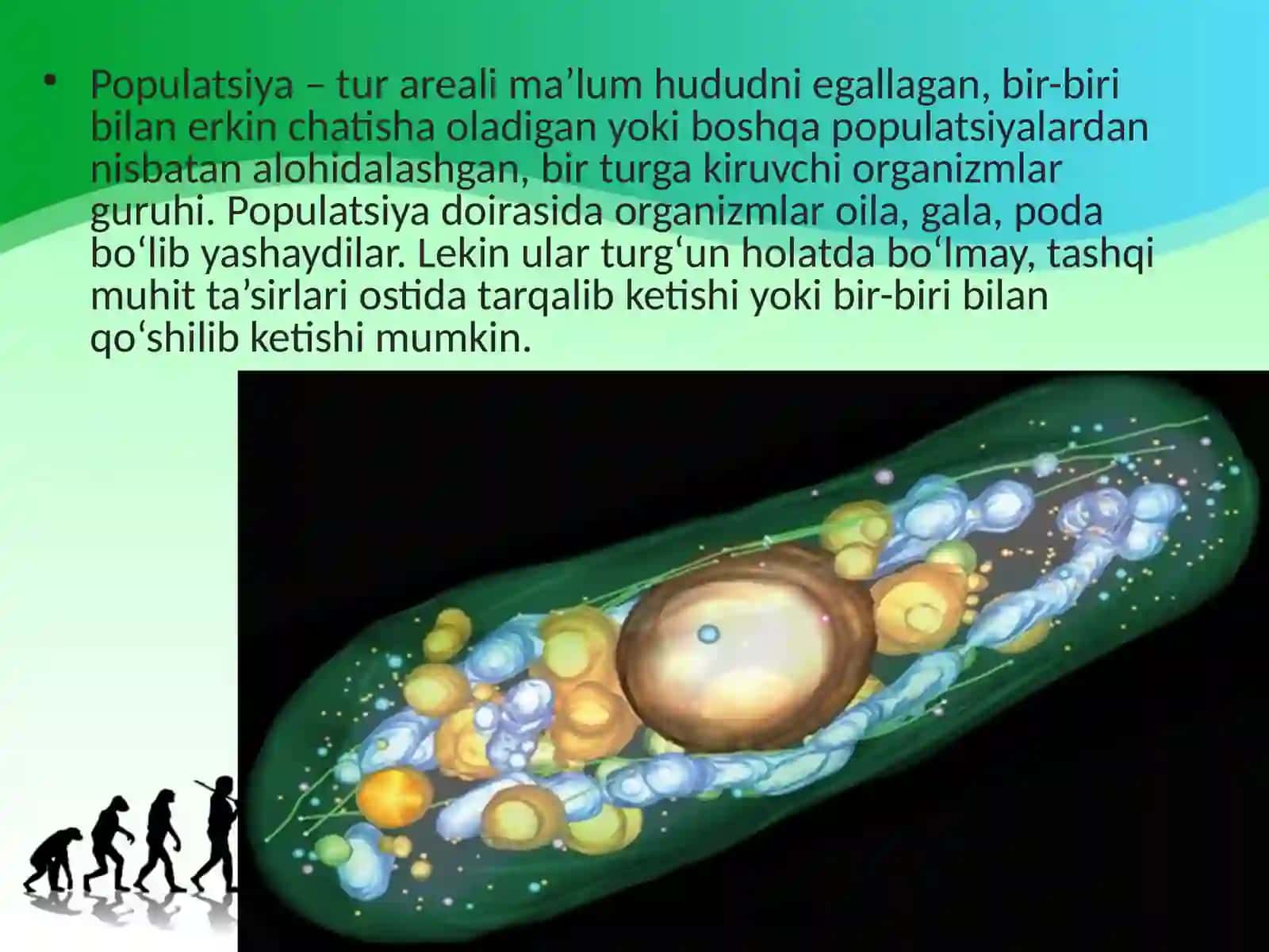 Populatsiya – turning tuzilish va evolutsiyaning boshlang‘ich birligi 3
