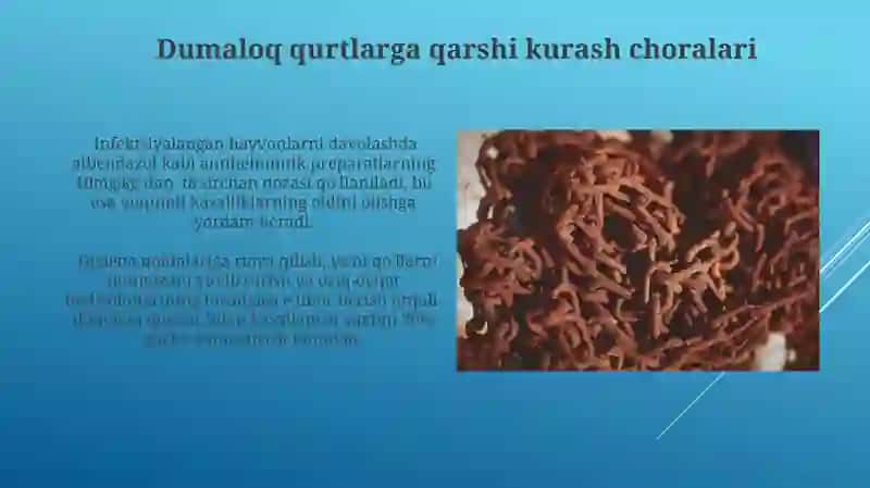Yumaloq chuvalchanglar 3