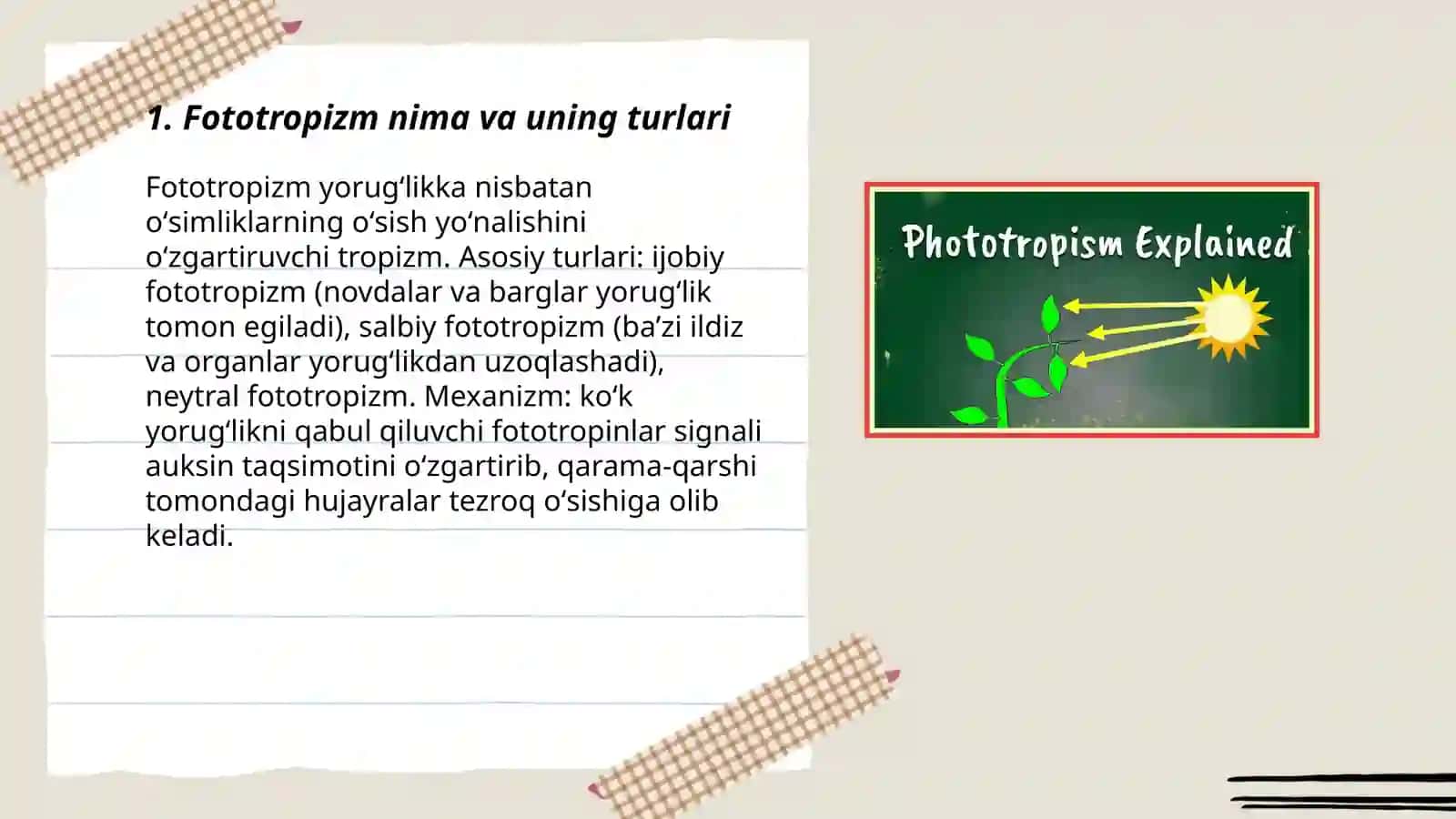 Oʻsimliklarda fototropizm, fotonastiya, geotropizm hodisalarini kuzatish 3