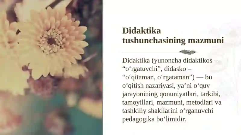 Didaktika” tushunchasining mohiyati. Didaktika – pedagogika fanining tarkibiy qismi sifatida 3