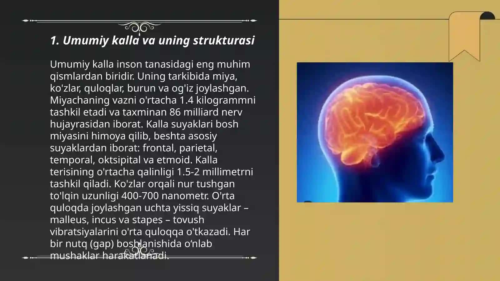 Kalla suyagi anatomiyasi 3