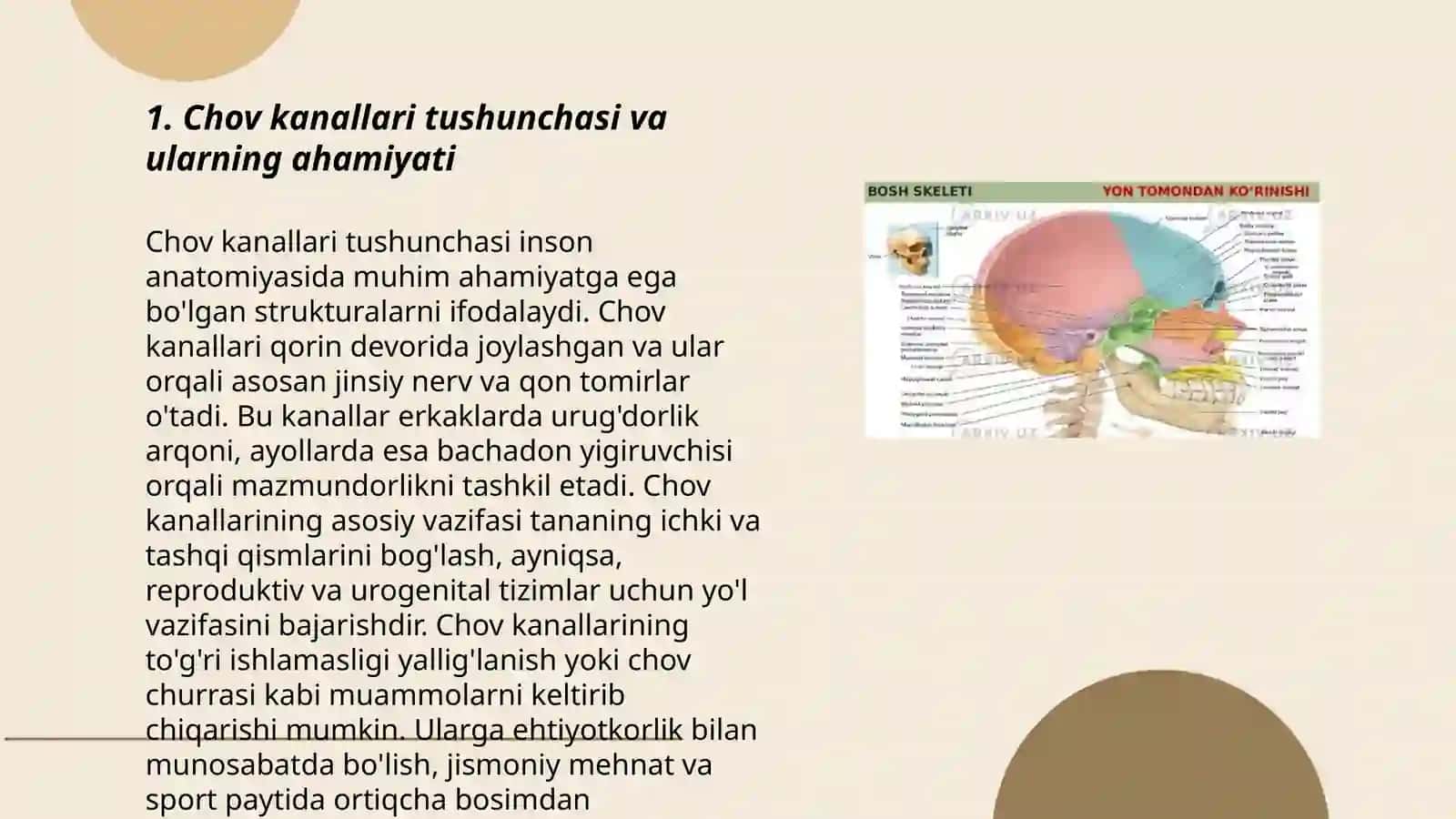 Chov kanali tuzilishi va ularning ahamyati 3