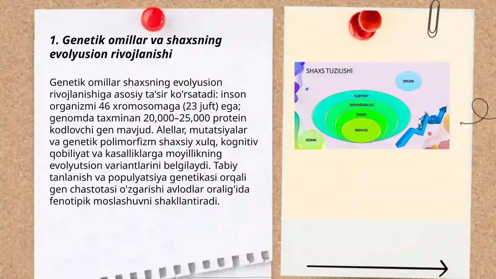 Shaxsni evolyusion jihatdan rivojlanishi 3
