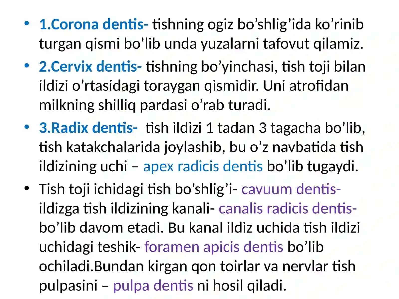 Tishlarning umumiy va xususiy anatomiyasi 3
