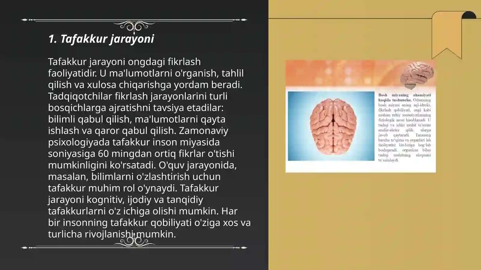 Tafakkur va bosh miya assimettiyasi 3