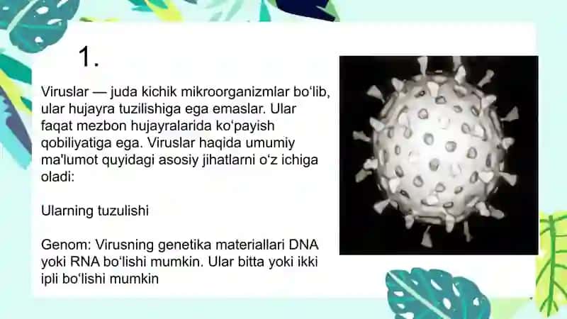 Viruslarning sistematikasi, tuzulishi va ahamiyati 3