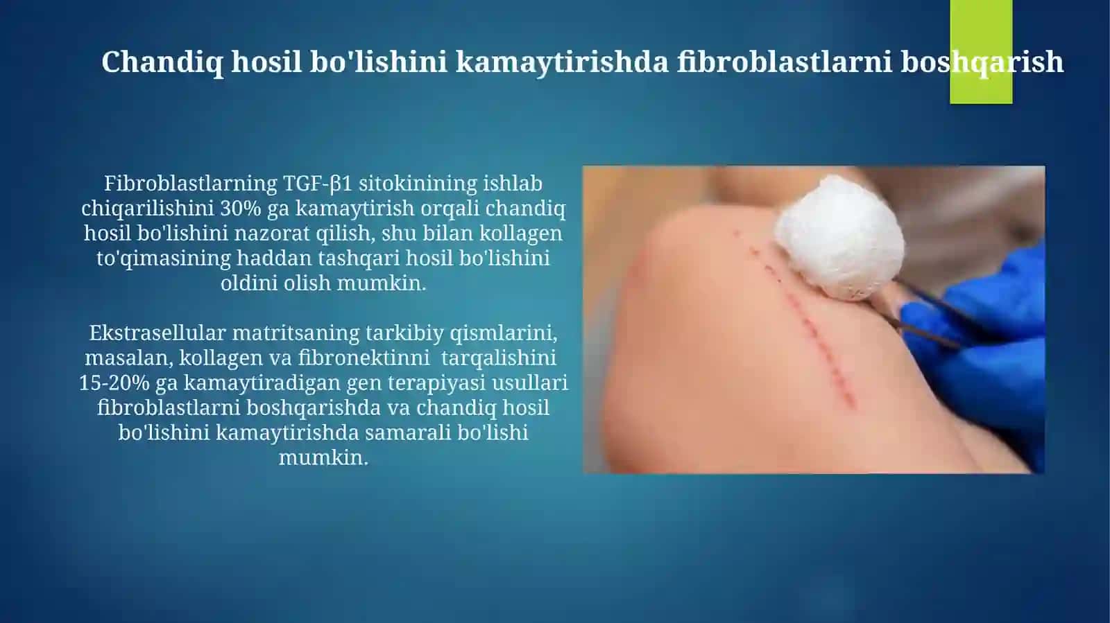 Fibroblastlarning jarohat ning bitishi va chandiq xosil bo'lishi 3