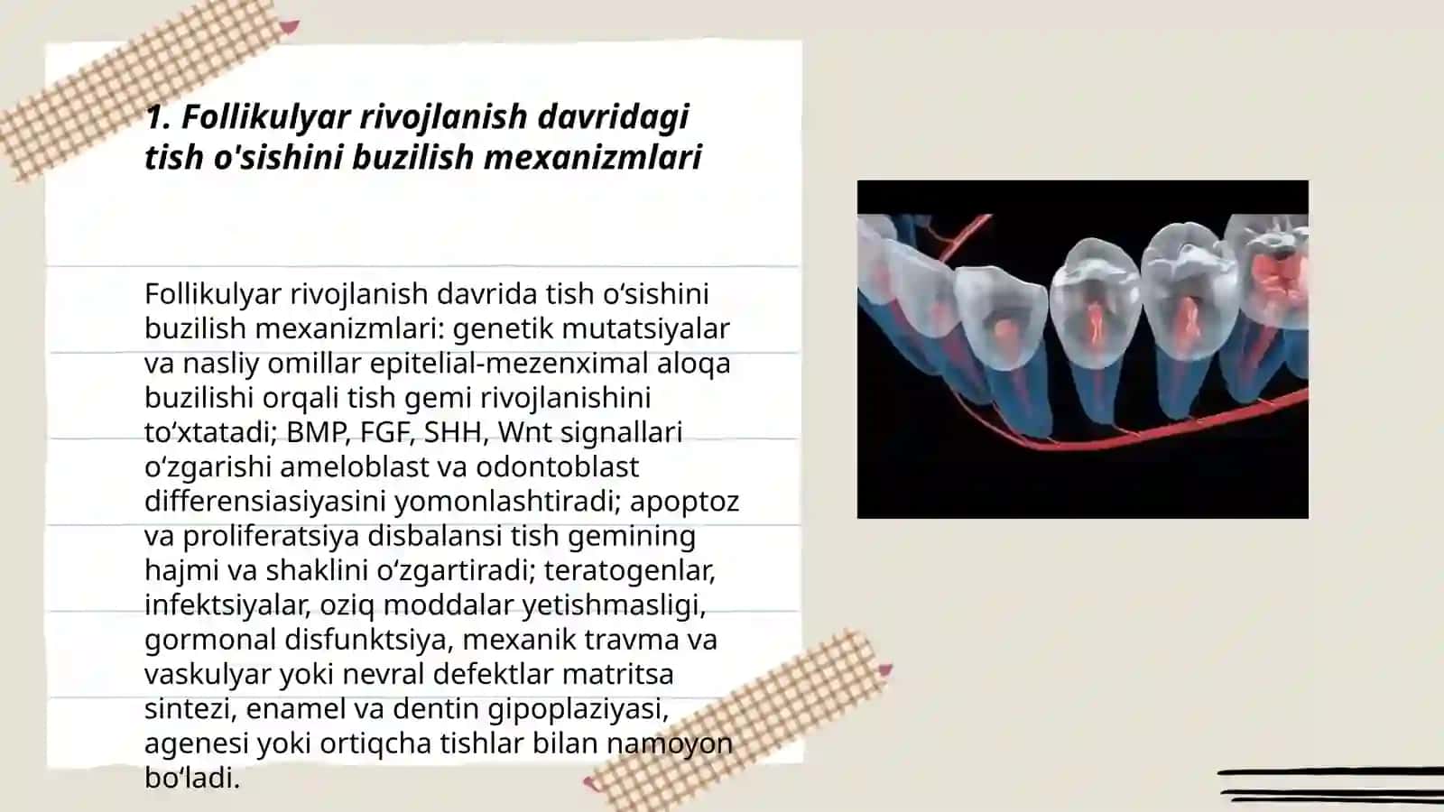 Tishlarni follikulyar rivojlanish davridagi zararlanishi 3
