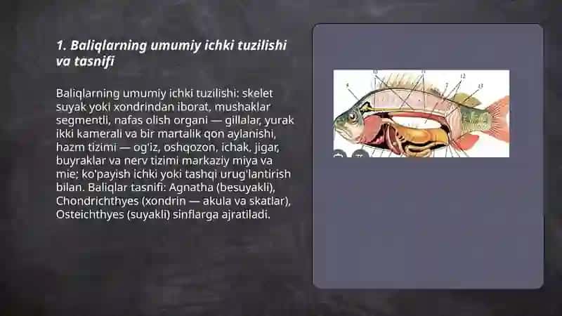 Baliqlar ichki tuzilishi turlari tarqalishi haqida umumiy malumot 3