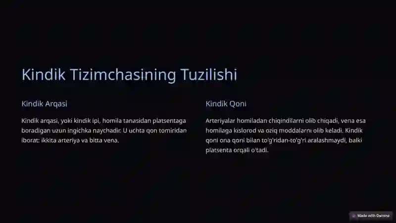 Kindik Tizimchasi: Ona-Homila Aloqasi 3