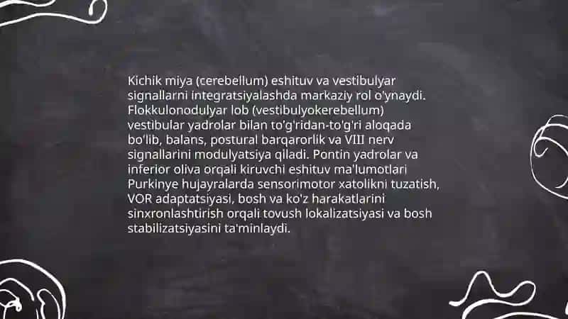 Orqa miyaning reflektor va oʻtkazuvchi yoʻl faoliyati, tekshirish usullari 3