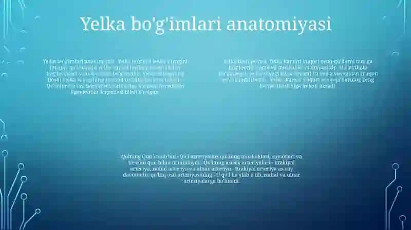 Yelka Bosh Poyasi.Ómrov Osti Arteriyasi. Qólning Qon Tomirlari 3
