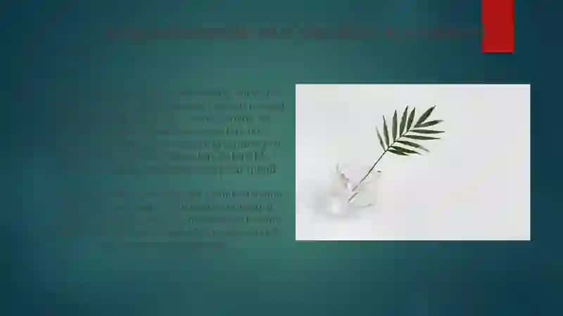 Dorivor oʻsimliklar senopopulyatsiyasi geterogenligini oʻrganish 3