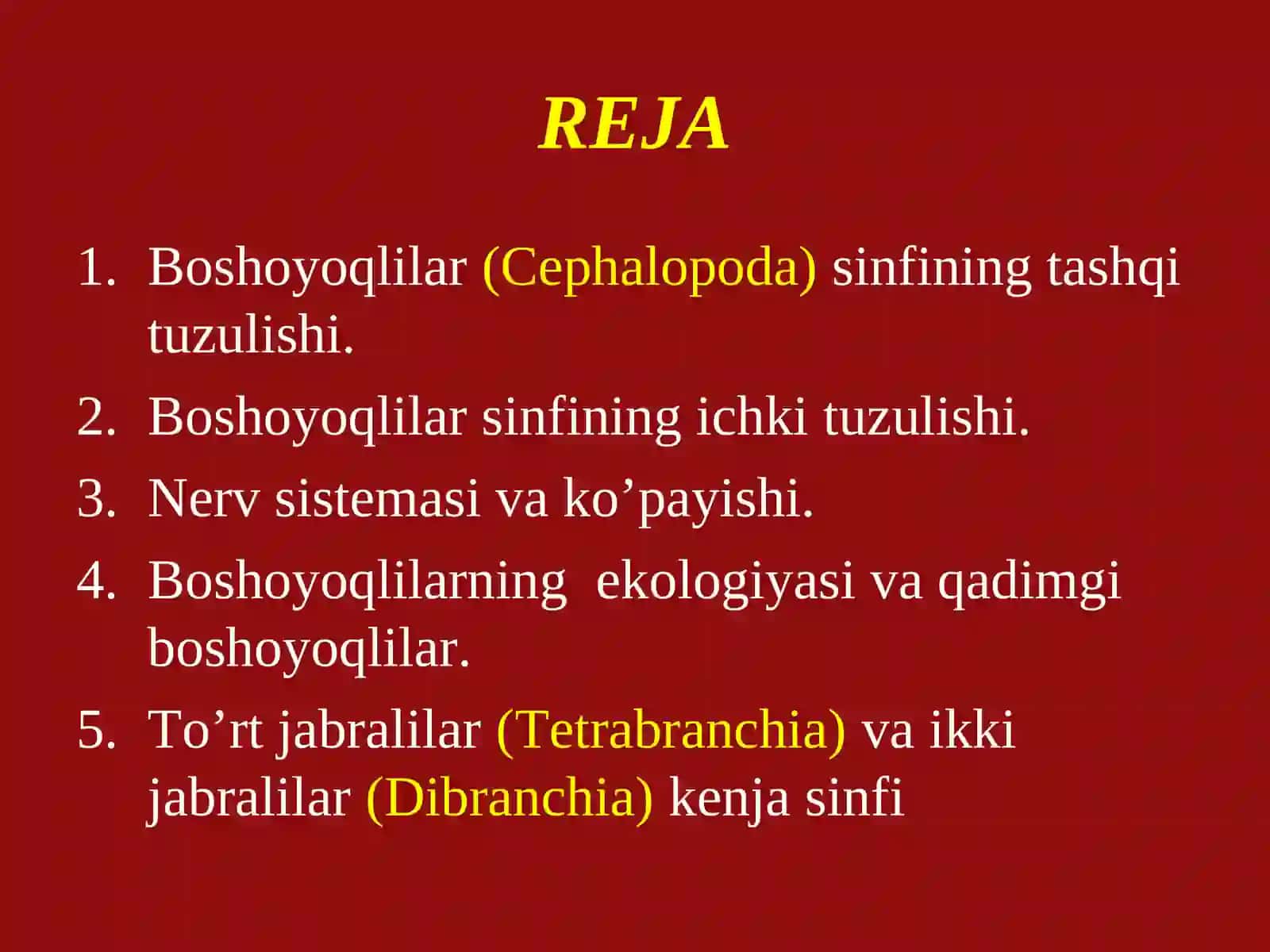 Boshoyoqlilar(Cephalopoda)sinfining tashqi tuzulishi 3
