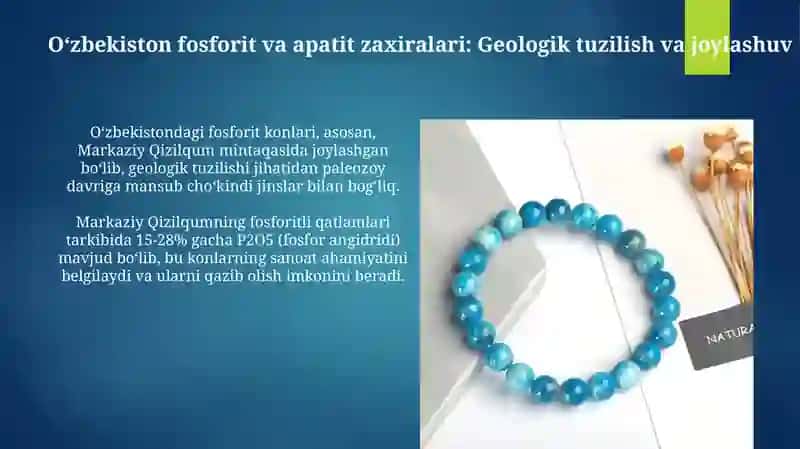 Oʻzbekistondagi fosforit va apatit zaxiralari 3