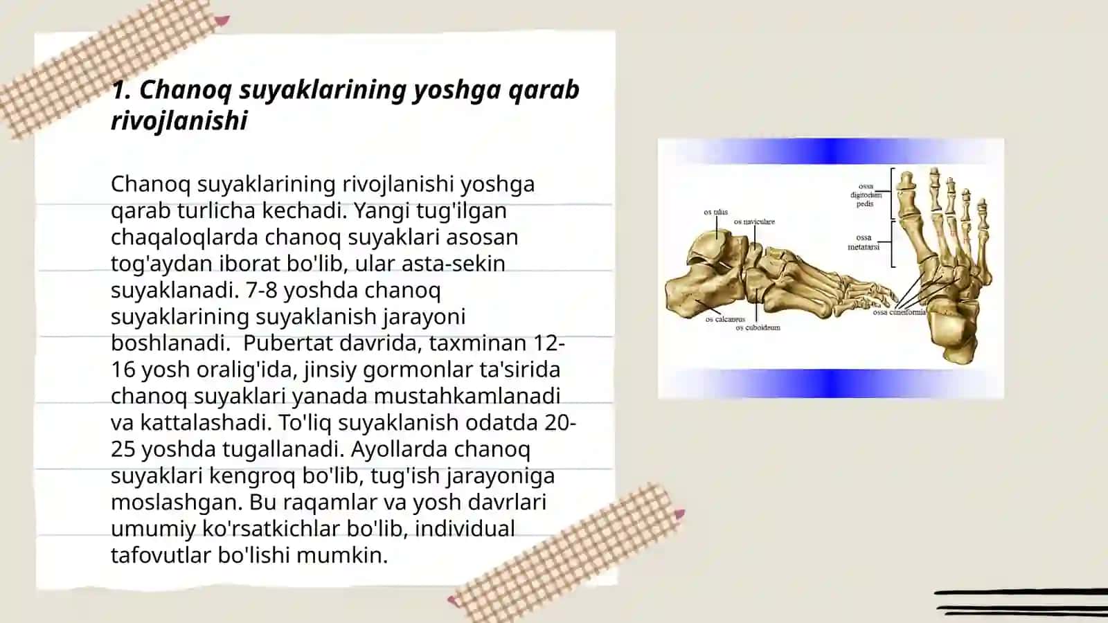 Chanoq va oyoq suyaklarining yoshga nisbatan xususiyatlari 3