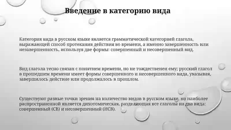Категория вида как константа русского языка 3