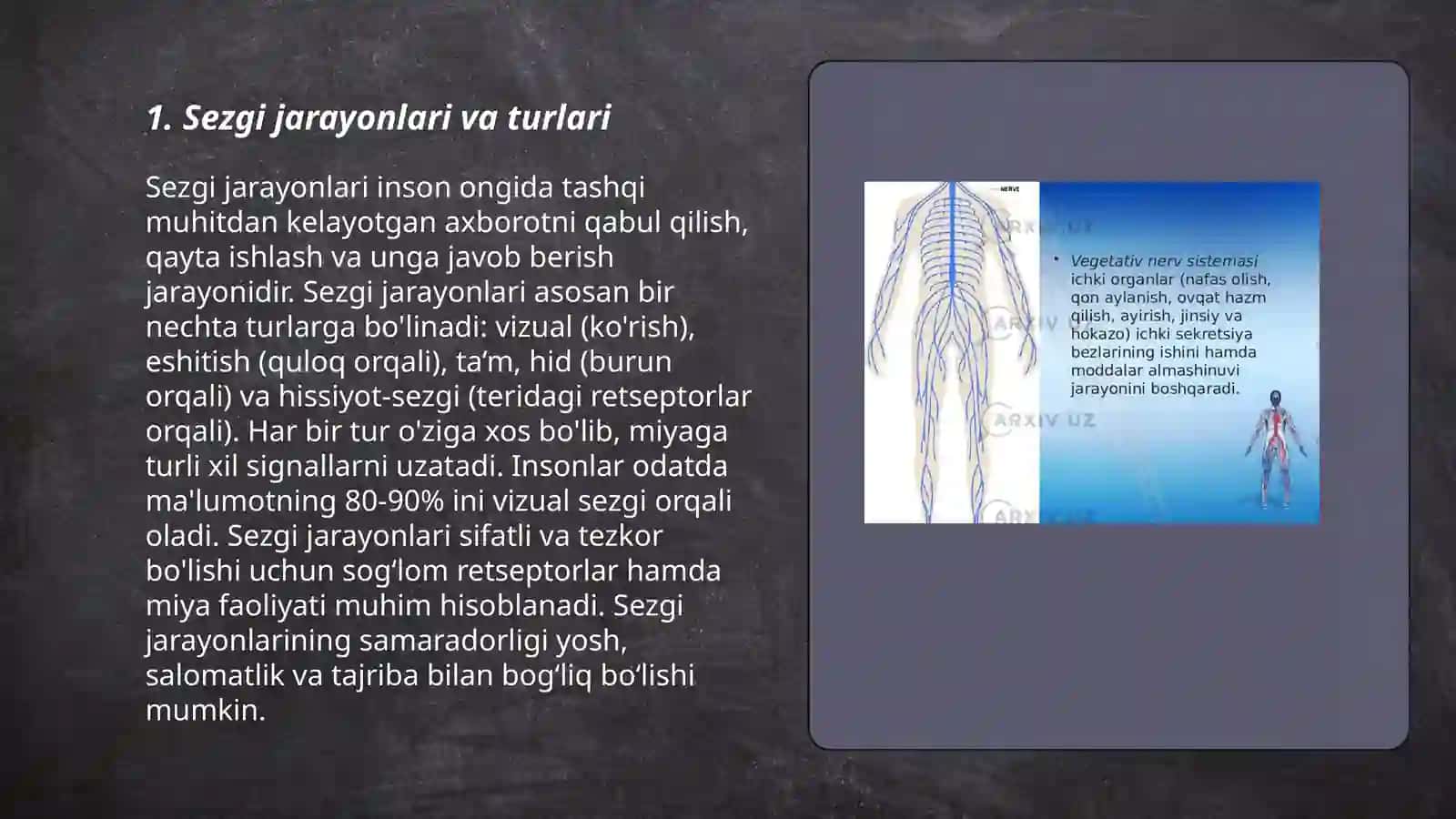 Sezgi,idrok, xotira,diqqat jarayoniva uni turli kasalliklarda buzilishi 3