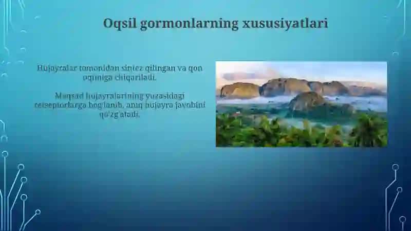 Oqsil Gormonlar: Signal Berishning Asoslari 3