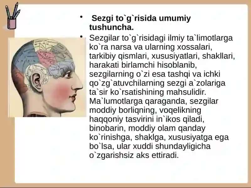 Sezgi Turlari va uning Qonuniyatları 3
