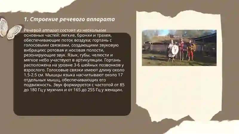 Устройство речевого аппарата и роль органов речи в звукопроизводстве 3