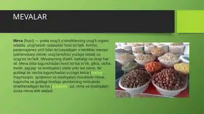 MEVA ULARNING TUZILISHI VA XILMA XILLIGI 3