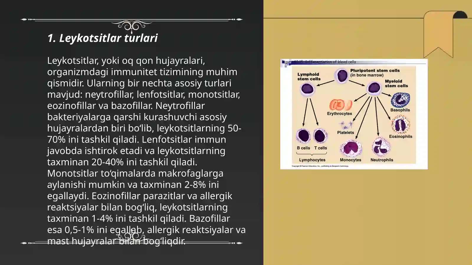 Leykotsitlar va immunitet 3