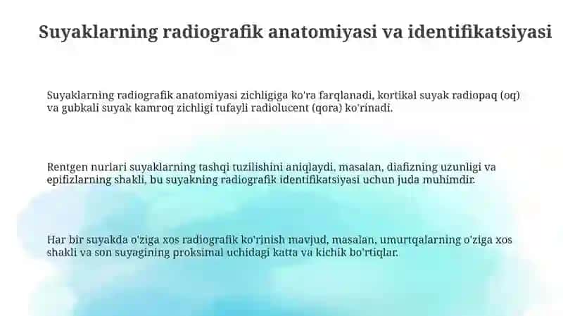 Suyaklarining rentgen anatomiyasi 3