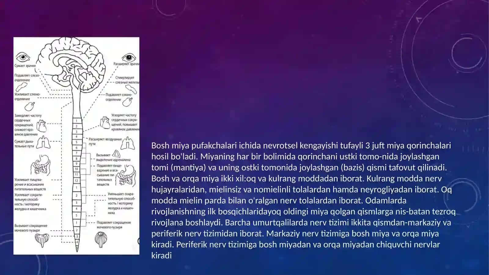 Asab tizimi va sezgi organlarionto-filagenezi 3