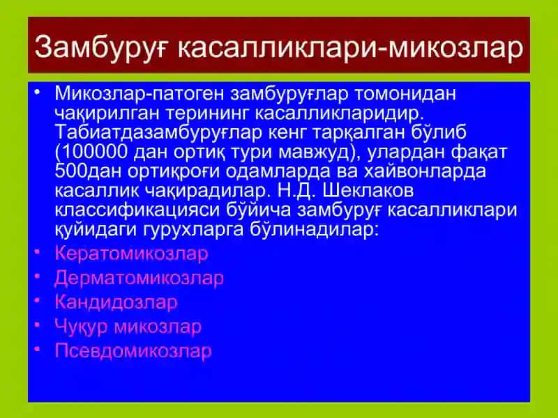 Терининг замбуруғкасалликлари-микозлар 3