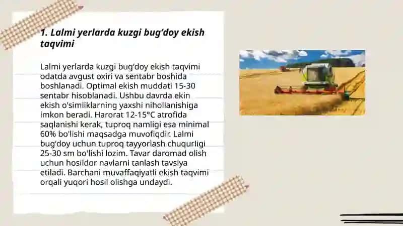Lalmi yerlarda kuzgi va bahorgi bugʻdoy yetishtirish texnologiyasi 3