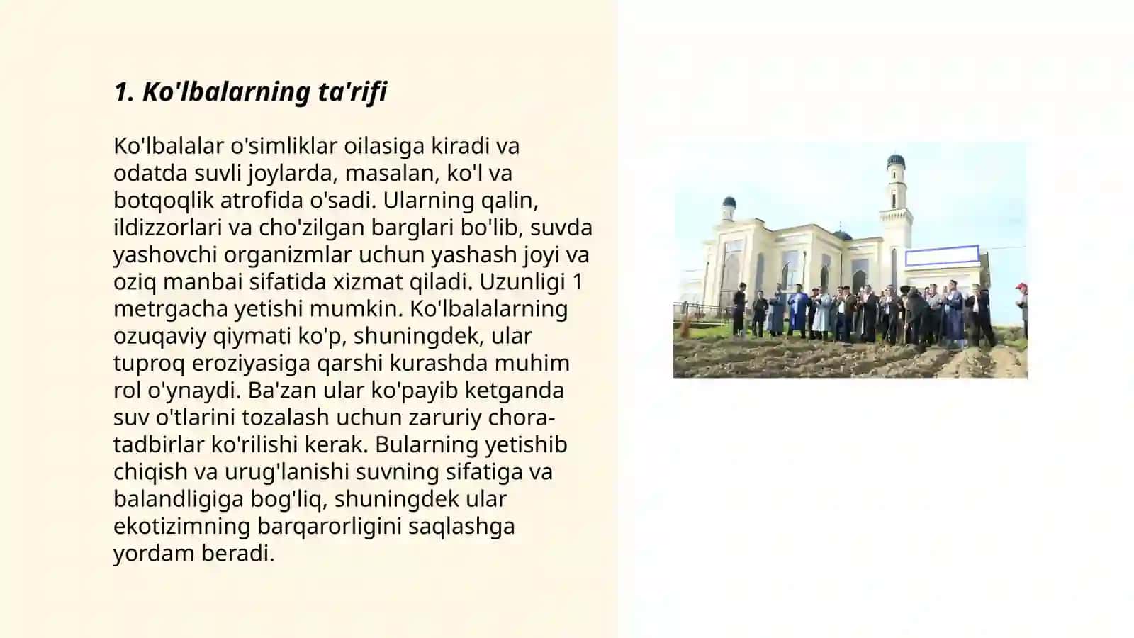 Ko'lbalarning turlar va ularning ishlatilshi 3