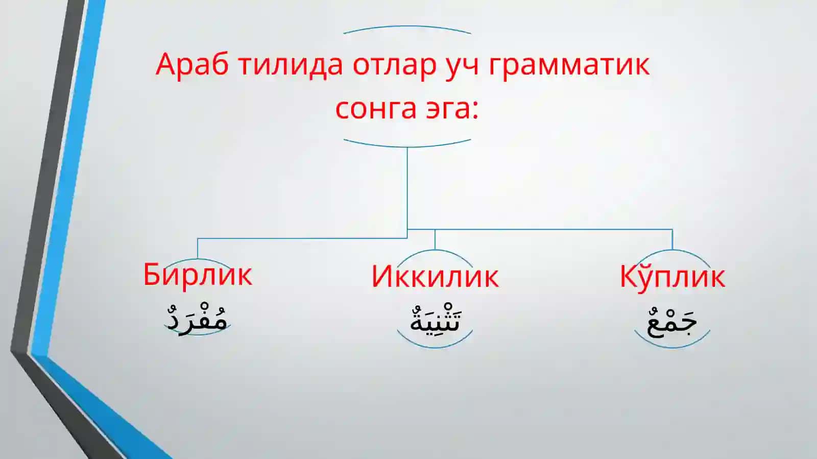 Отларда сонкатегорияси. Отларнинг иккилик сонларда тусланиши 3
