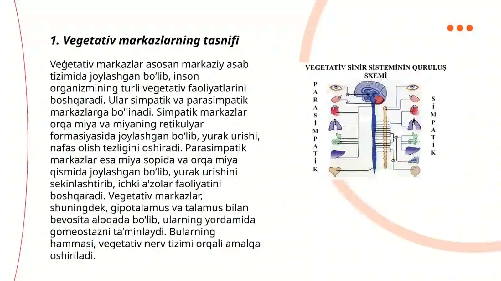 Vegetativ oliy markazlar va ularning funksional ahamiyati 3