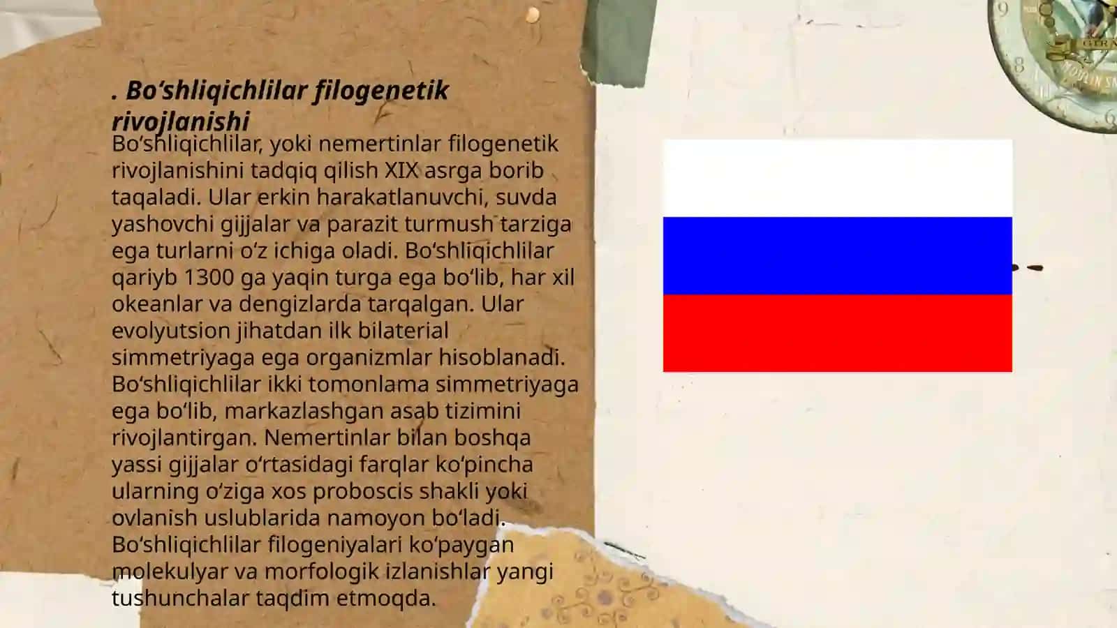 Bo‘shliqichlilar va Taroqsimonlar filogeniyasi 3