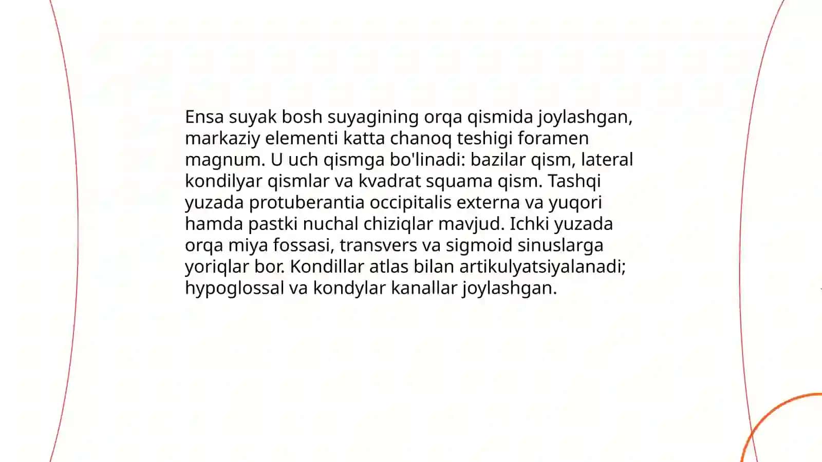 Bosh suyaklari:ensa va tepa suyak anatomiyasi 3